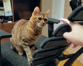 Pussy loves to jump on your fingers .... Piston play