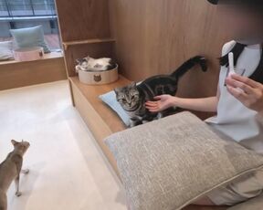 【個人撮影】 プール前に可愛い水着を着た彼女と仰向けフェラチオ♡仰向けおっぱいがエロすぎる彼氏目線の主観映像♡／Japanese amateur hentai